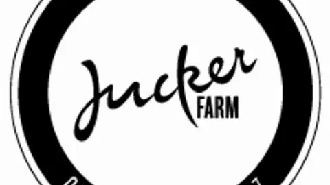 Kürbisausstellung Juckerhof Seegräben