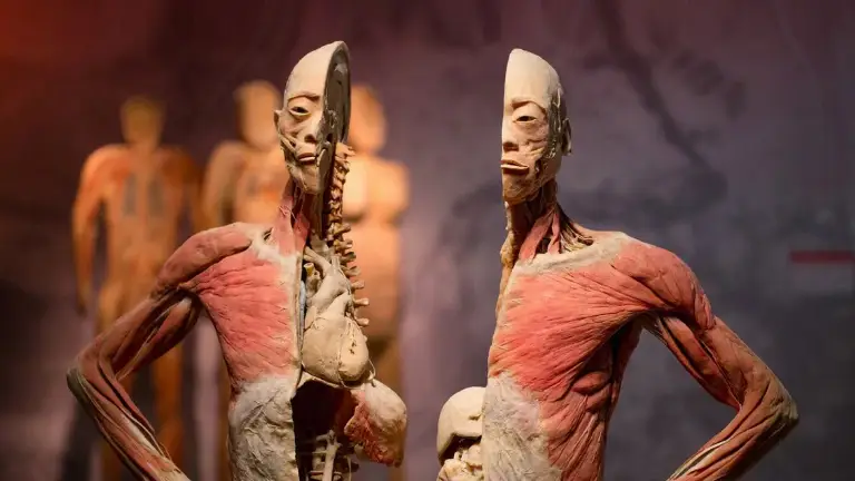 Event artwork: Real Bodies — Laugh Factory at Horseshoe Las Vegas — Las Vegas — 8 October 2026