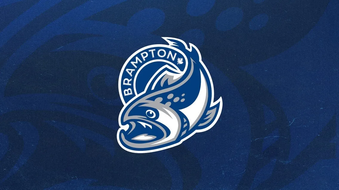 Brampton Steelheads vs. Brantford Bulldogs