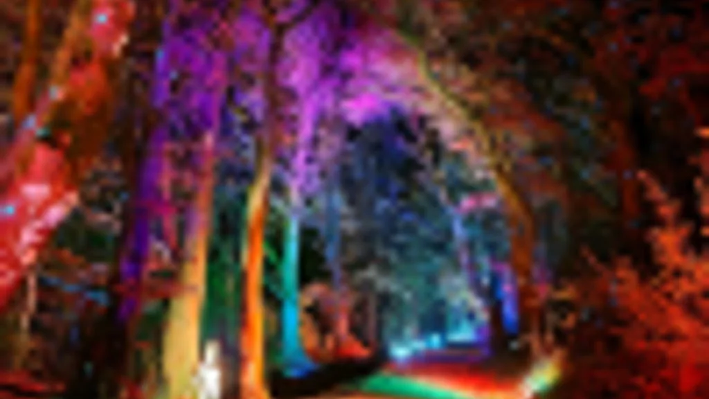 Land of Light 2026 - Sensory Evening