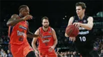Cairns Taipans — performer image