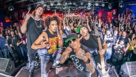HED PE / COLD
