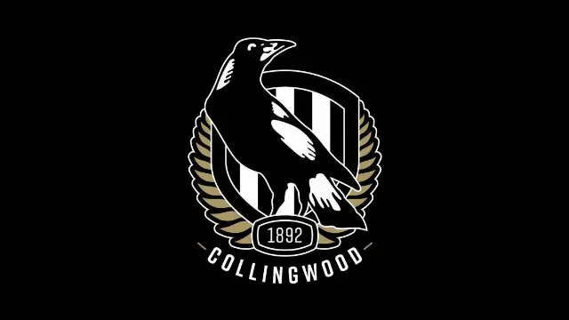 Collingwood — performer image